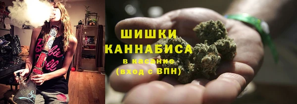 PSILOCYBIN Балахна