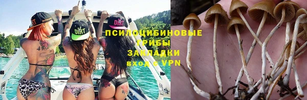 дживик Балабаново