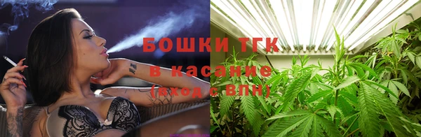 PSILOCYBIN Балахна
