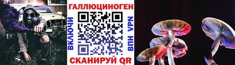 дарнет шоп Лермонтов Псилоцибиновые грибы ЛСД